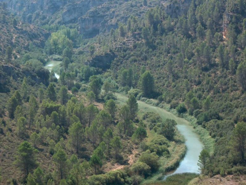 Parajes Del Jucar Casas de Benítez Zewnętrze zdjęcie